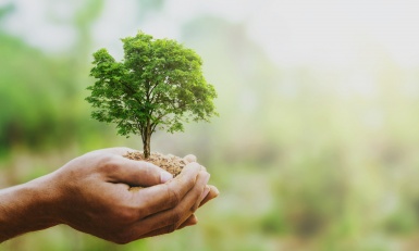 Veille environnement FIM sur les réglementations 