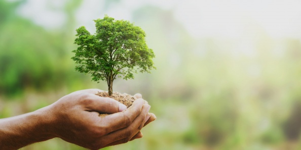 Veille Cetim : Outils de mesure des impacts des industries sur la biodiversité