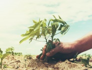 Veille Cetim - Sobriété hydrique pour l’adaptation au changement climatique