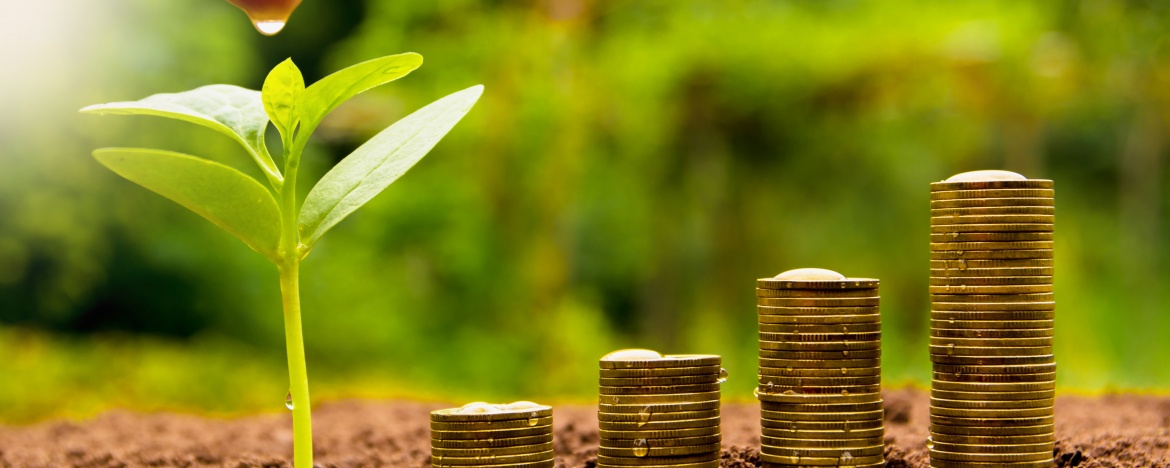 Comment financer votre transition écologique 