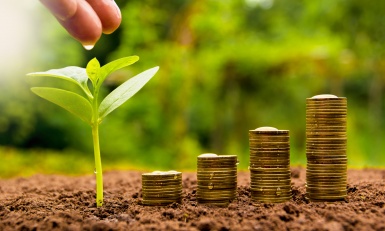 Transition écologique des PME : les prêts de Bpifrance