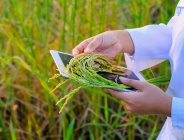 Note de veille FIM Agroalimentaire février 2020 - Spéciale investissements