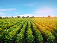 Webinaire Bonnes pratiques environnementales - Appel à témoignages 