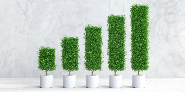 CCUS : une solution clé pour la décarbonation ?