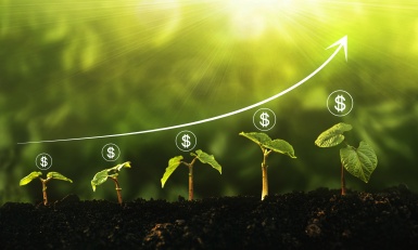 Innovations et nouveaux projets pour le captage du CO2